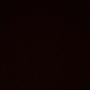 Meet your Posher, Lily